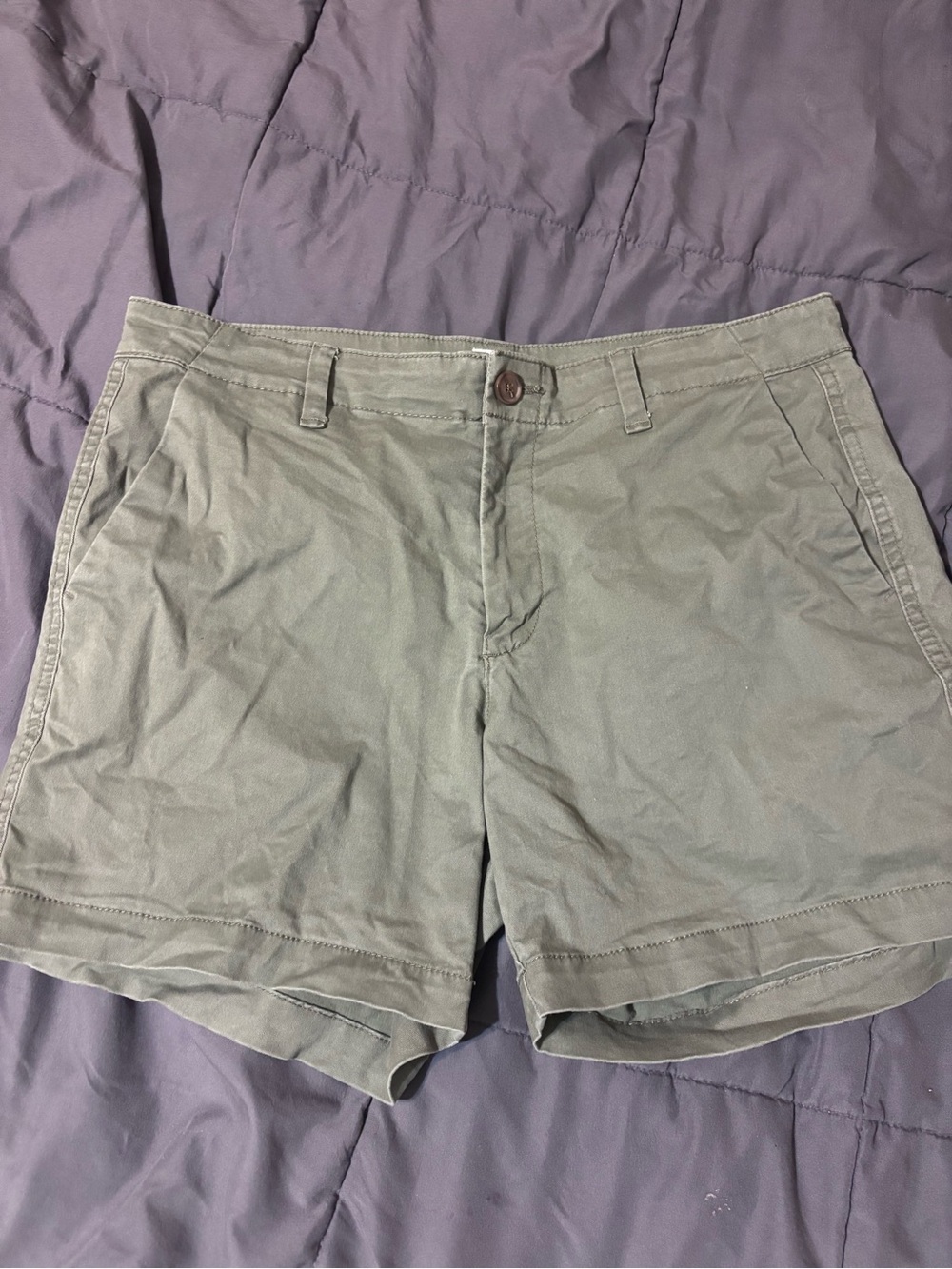 GAP Women's Casual Chino Shorts in Sage
